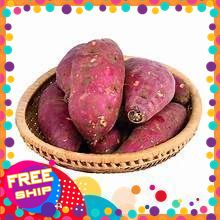 [xanhgri-Nông Sản Sạch Trung Du]1kg khoai lang Nhật siêu to - khoai rất bở và thơm. Size 2-5củ