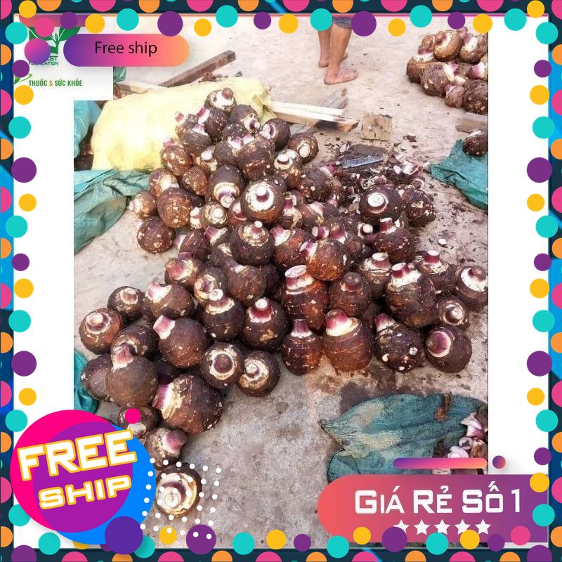 COMBO 3kg 5kg Khoai Môn Quê Sạch ( khoai bông) + khoai sọ trứng , bở thơm, làm bánh nấu chè...