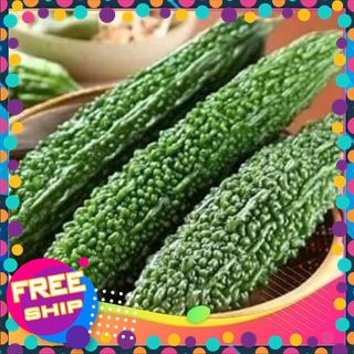 [NÔNG SẢN TƯƠI & NGON] chỉ giao được Miền Bắc-1kg.2kg.3kg Mướp Đắng - Khổ Qua ( tươi ngon giòn  sạch )