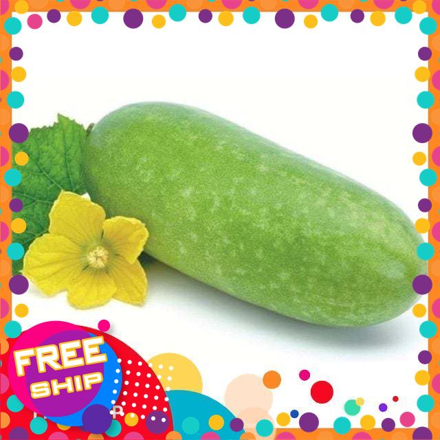 Bí Đao Chanh Tươi Lâm Thao 1kg(+/-) - Vị Thanh Mát, Dùng Nấu Canh