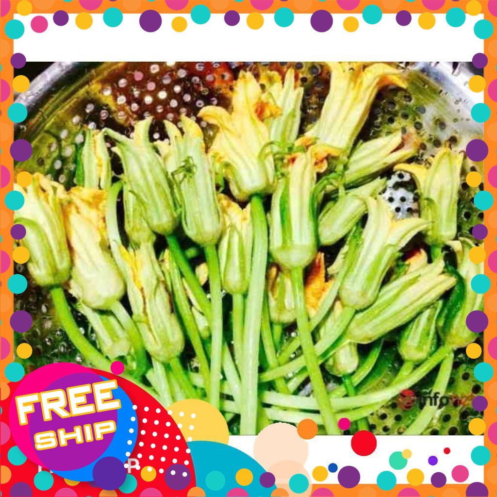 ♥ CHỈ GIAO MIỀN BẮC - 1KG NGỒNG (Đọt) VÀ NỤ BÍ NON MỚI HÁI.