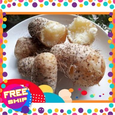 [NÔNG SẢN SẠCH TRUNG DU] 1KG Củ từ lông, khoai từ ngon,  bở , thơm