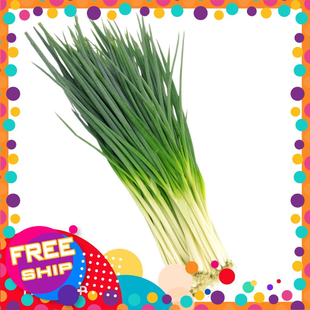 [NÔNG SẢN SẠCH TRUNG DU] Hành Lá TƯƠI 100g, 200g–Rau Gia Vị Tươi Sạch,Trồng Theo Tiêu Chuẩn VietGAP