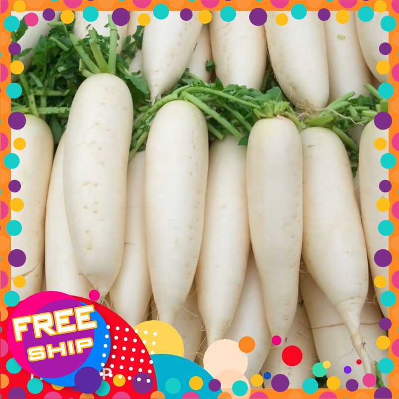 Củ Cải Trắng Trung Du - 1 Củ to đẹp khoảng ~350g -> 500g- Nông Sản Sạch An Toàn