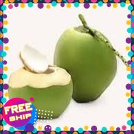 ( Quả to ) 2 trái Dừa Tươi Uống Nước Giải Khát Tự Nhiên – Trái Dừa tươi Ngọt Thanh Mát