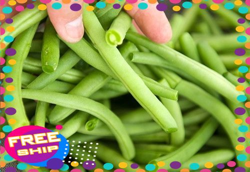 [xanhgri-sạch&an toàn] 1kg đậu Cove trồng hữu cơ đất bãi Sông Lô - Phú Thọ sạch 100%