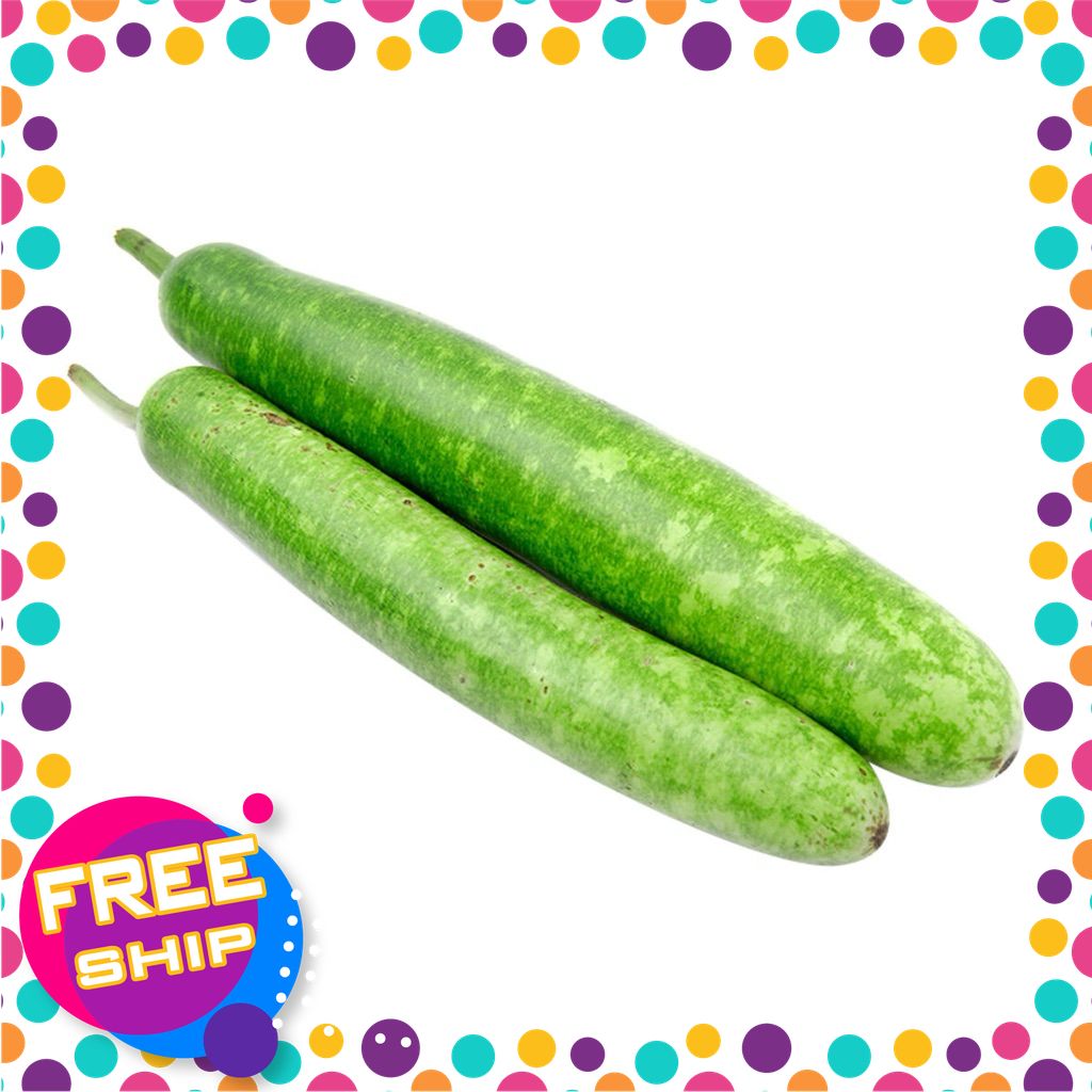 [XANHGRI-giao hàng toàn quốc] THÙNG 3KG QUẢ BẦU tươi được thu hoạch từ những ruộng rau sạch & AN TOÀN