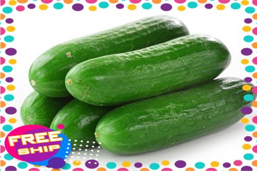 [XANHGRI - SẠCH & AN TOÀN] 3KG DƯA CHUỘT SẠCH – GIÒN TAN VỊ NĂM THÁNG, AN TÂM CHO CẢ GIA ĐÌNH 🥒