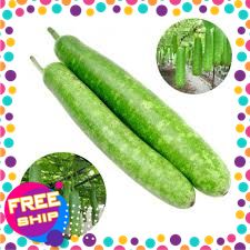 [XANHGRI-SẠCH&AN TOÀN] THÙNG 3KG QUẢ BẦU tươi được thu hoạch từ những ruộng rau sạch & AN TOÀN