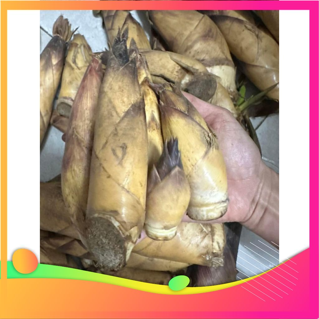 4kg Măng vầu ngọt tây bắc hot-đặc sản Vùng Đất Tổ Phú Thọ