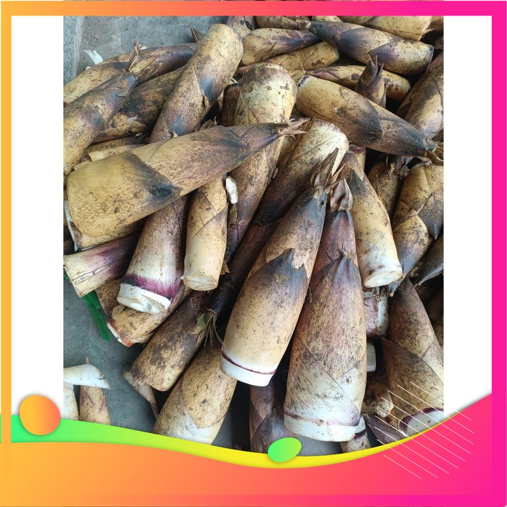 3kg Măng vầu ngọt tây bắc - đặc sản Vùng Đất Tổ Phú Thọ